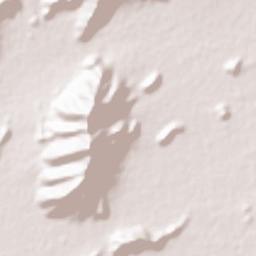 Tiruvannamalai Terrain Map