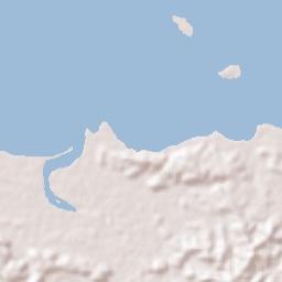 Catarman Terrain Map