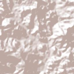 San Lorenzo Terrain Map