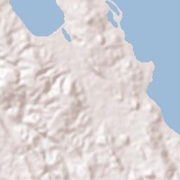 Dimasalang Terrain Map
