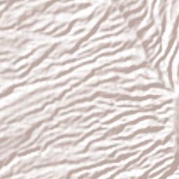 El Crucero Terrain Map