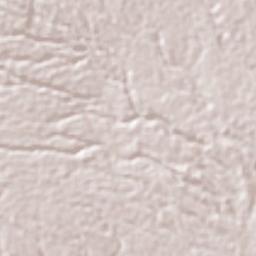 La Paz de Carazo Terrain Map