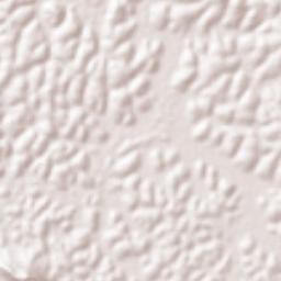 Panamaram Terrain Map