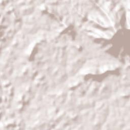 Naduvannur Terrain Map