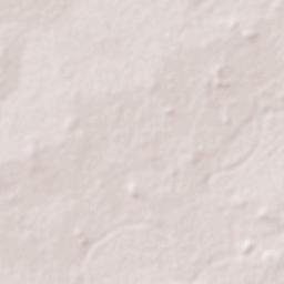 Bougouni Terrain Map