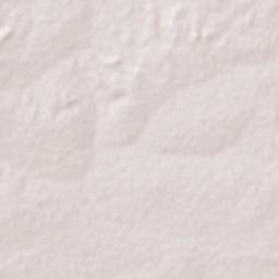Danja Terrain Map