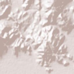 Huyện Tuy Phong Terrain Map