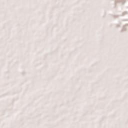 Alangalang Terrain Map