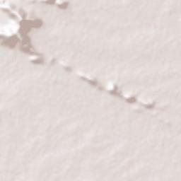 Puduppatti Terrain Map