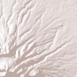 Province of Leyte Terrain Map