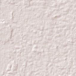 Los Chiles Terrain Map