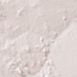 Konkwesso Terrain Map