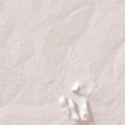 Dutsen Wai Terrain Map