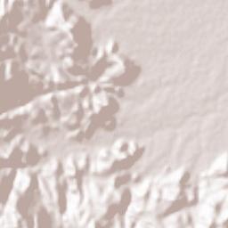 Koza Terrain Map