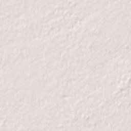 Ho Chi Minh City Terrain Map