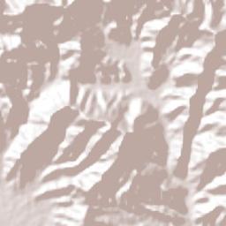 Port of Spain Terrain Map