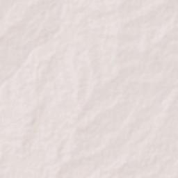 Pallappatti Terrain Map