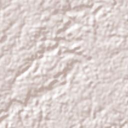 San Carlos Terrain Map