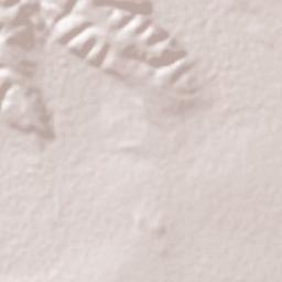 Ceerigaabo Terrain Map