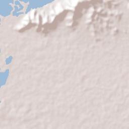 Manatí Terrain Map