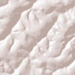 Fria Terrain Map