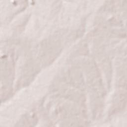 Saminaka Terrain Map