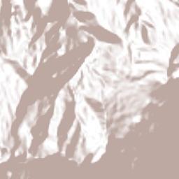Oreamuno Terrain Map