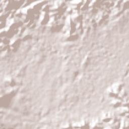 Tinaquillo Terrain Map
