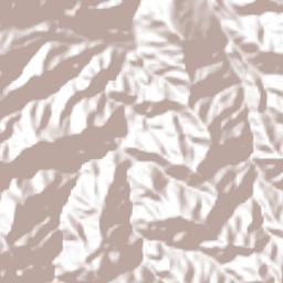 Jiménez Terrain Map
