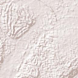 Nueva Vida Sur Terrain Map