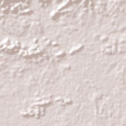 San Carlos Terrain Map