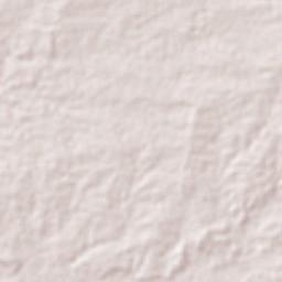 Aragua de Barcelona Terrain Map