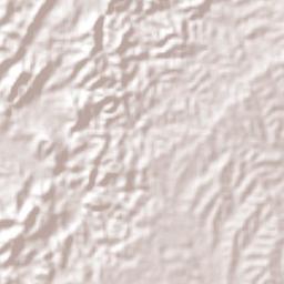 Los Palmitos Terrain Map