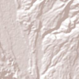 Daniel Flores Terrain Map