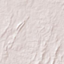 Palmito Terrain Map