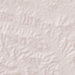 Buenavista Terrain Map