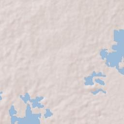 Pijiño del Carmen Terrain Map