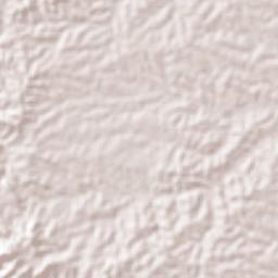 Buenavista Terrain Map