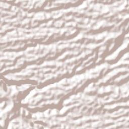 Coto Brus Terrain Map