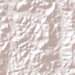 Nueva Arenosa Terrain Map