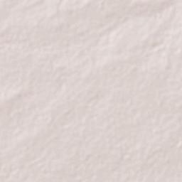 El Tigre Terrain Map