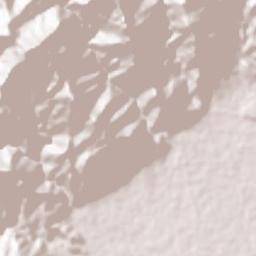 Mainit Terrain Map