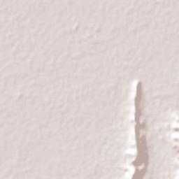 San Carlos Terrain Map