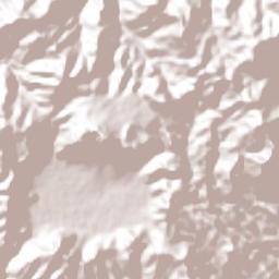 Los Llanitos Terrain Map