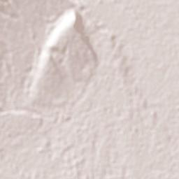 Alto Barinas Terrain Map