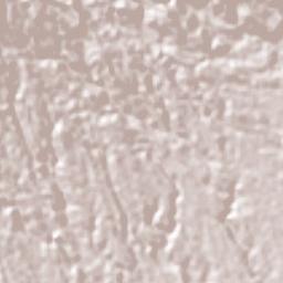 Guayabito Terrain Map