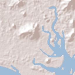 Distrito de Remedios Terrain Map