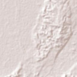 La Esperanza Terrain Map