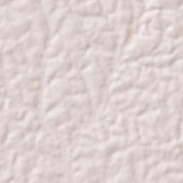 Rotifunk Terrain Map