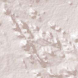 Ogaminana Terrain Map